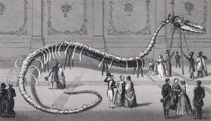 Squelette de 114 pieds de long du faux serpent de mer 