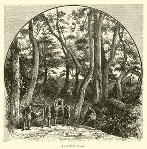 Une route de campagne - American School