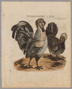 Un Coq Philosophique - American School