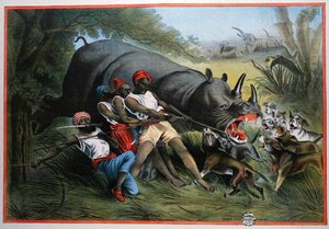 Chasse au rhinocéros