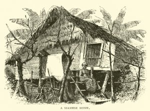 Une maison siamoise - American School