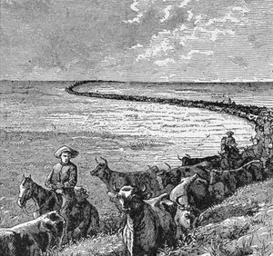 Un sentier dans les Grandes Plaines, illustration de 
