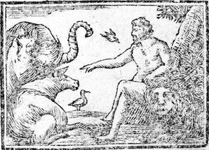 Adam nommant les animaux, illustration tirée d