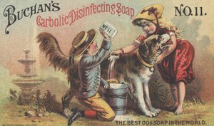 Publicité pour le savon désinfectant carbolique de Buchan No. 11, c.1880 - American School