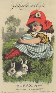 Publicité pour le Boraxine de J. D. Larkin & Co., 1882