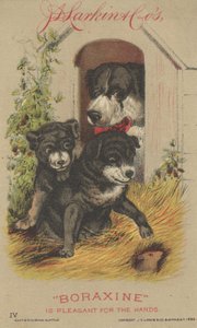 Publicité pour le Boraxine de J. D. Larkin & Co., 1882 - American School