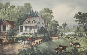 Ferme Américaine - Été - American School