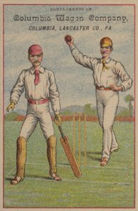Cricket américain - American School