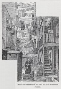 Parmi les maisons de rapport à l