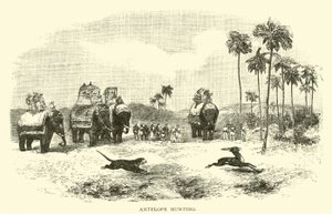 Chasse à l