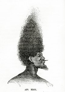 Api Man, illustration de Appletons Journal, 4 mai 1872