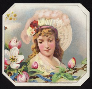 Femme attirante - American School