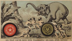 Garçons piégeant un éléphant avec du coton