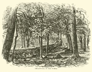 Travail de terrassement dans les bois, juillet 1863