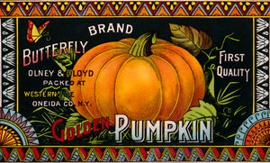 Butterfly Golden Pumpkin Étiquette de produit - American School
