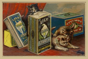 Chats cherchant une souris parmi des paquets d