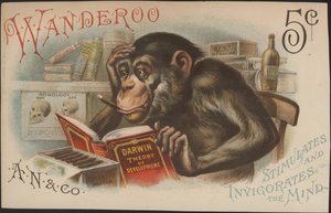 Charles Darwin, Théorie du développement (c