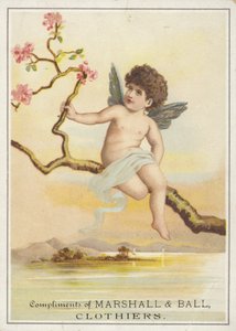 Chérubin assis sur une branche au-dessus de l