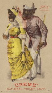 Chimpanzés en vêtements - American School