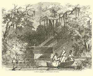 Réserves de coton dans les marais du Sud, juillet 1862 - American School