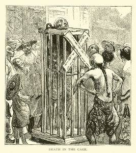 Mort dans la cage - American School