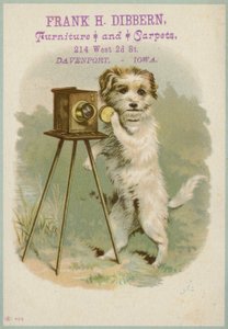 Chien avec un appareil photo