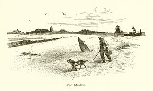 Fort Moultrie - American School