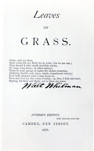 Frontispice de Leaves of Grass par Walt Whitman (1819-92), pub. en 1876