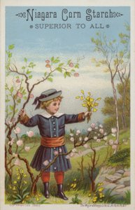 Fille tenant un bouquet de fleurs à la campagne - American School