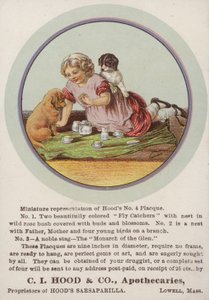 Fille assise sur une couverture avec des chiots - American School