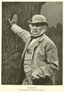 Gladstone - American School