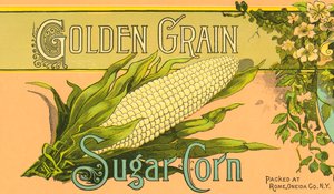 Étiquette de produit de maïs sucré Golden Grain, vers 1890 - American School