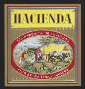 Hacienda - American School
