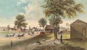 Harlem Lane, de Central Park à Manhattanville - American School