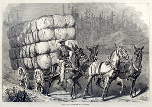 Transport de coton au marché, de Cent ans de progrès des États-Unis, pub. 1871 gravure
