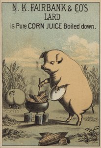 Cochon cuisinant du maïs pour faire du lard - American School