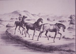 Chevaux tirant un bateau sur le canal Érié (gravure) - American School
