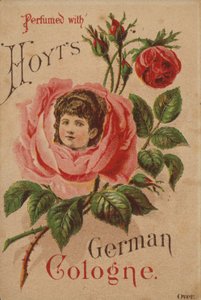 Cologne allemande de Hoyt - American School