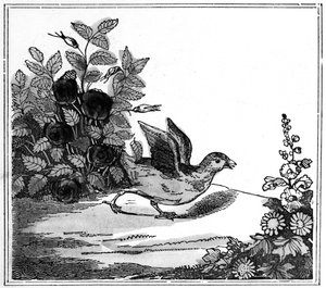 Illustration de l