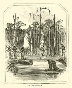 Dans les marais, mars 1863 - American School