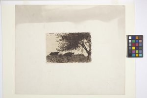 Paysage