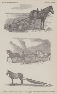 Litières (gravure) - American School