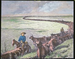 Conduite de bétail Longhorn du Texas à Abilene, Kansas, vers 1870 - American School