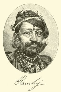 Maharajah - American School