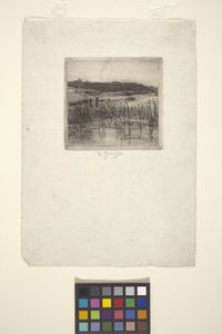 Marais