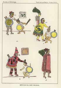 Insignes militaires mexicains - American School