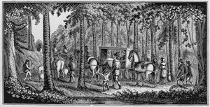 M. Hooker et sa congrégation traversant la forêt