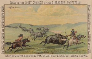 Amérindiens chassant le bison