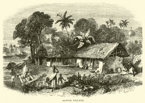Village natal - American School