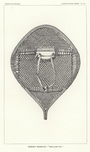 Raquette Nenenot - Queue d